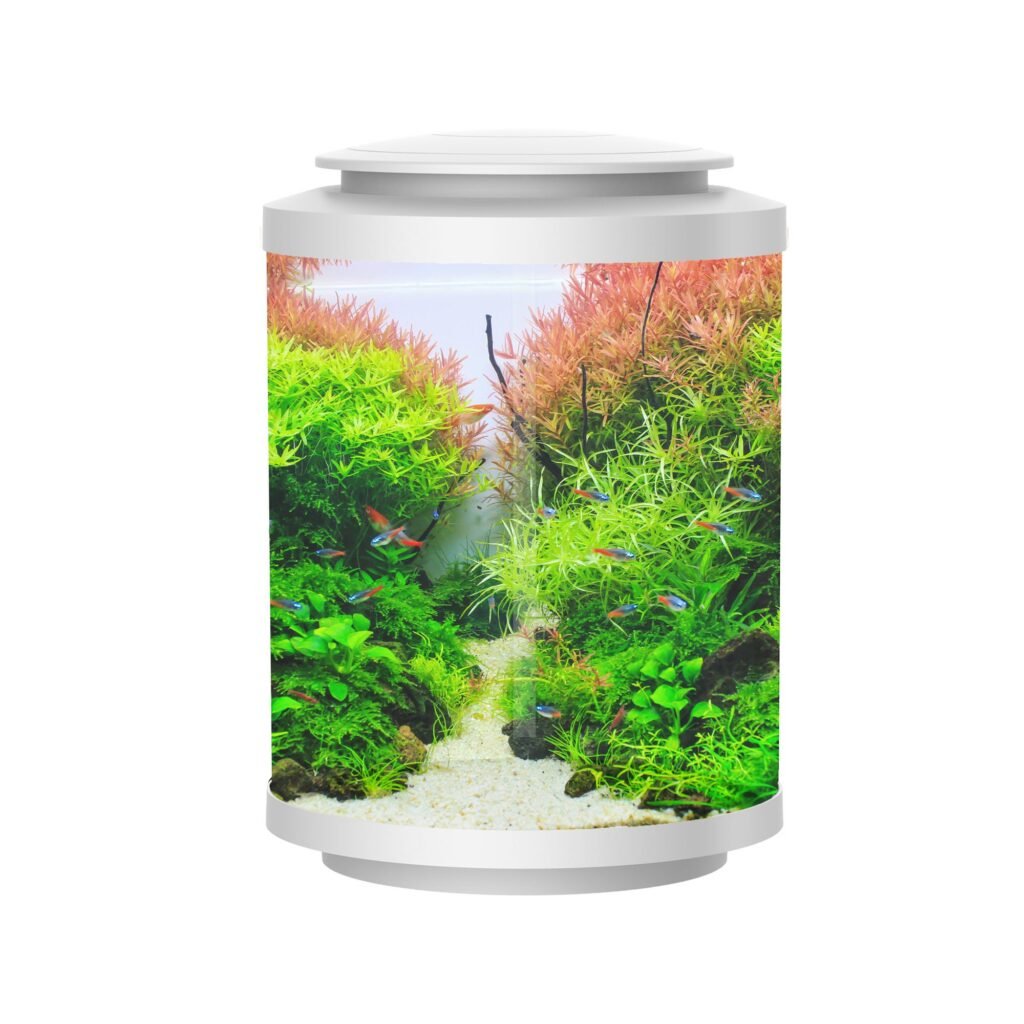 Betta Choice Acrylic Cylinder Tank 15L - White